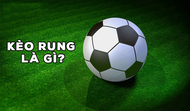 Tại sao nên chơi kèo rung trong cá độ bóng đá?