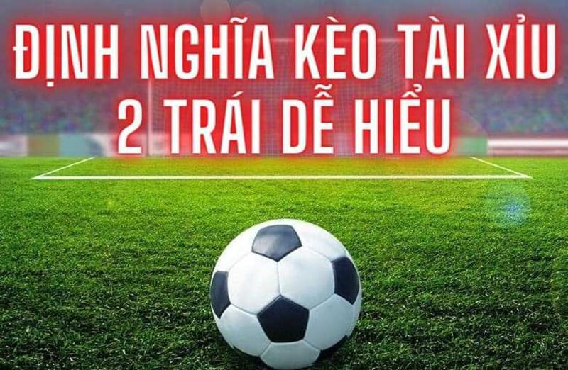 Kinh nghiệm cá cược kèo Tài Xỉu 2 trái là gì chuẩn xác nhất